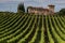 Tuscan vineyard and farmhouse