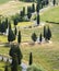 TUSCANY countryside, devious street with cypress