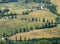 TUSCANY countryside, devious street with cypress