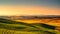 Tuscany countryside misty panorama, rolling hills and green fields on sunset. Siena,Italy