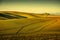 Tuscany countryside panorama, rolling hills and plowed fields on