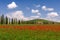 Tuscany Countryside in Spring, Val d` Orcia, Spedaletto, Italy