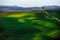 Tuscany, cypress tree on hill and green fields on sunset. Siena