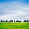 Tuscany, Cypress Trees on a hill rural Chianti landscape, Italy.