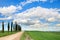 Tuscany, Cypress Trees, road, green field, Italy.