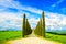 Tuscany, Cypress Trees white road rural landscape, Italy, Europe