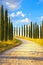 Tuscany, Cypress Trees white road rural landscape, Italy, Europe