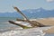 Tuscany deserted sand beach and mountains landscape