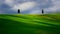 Tuscany famous cypress trees with farmer house on a sunny day and white clouds