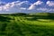 Tuscany famous cypress trees with green fields and sunset light