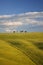 Tuscany farm landscape