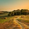 Tuscany, farmland, cypress trees and white road on sunset. Siena, Italy.