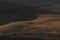 Tuscany fields with tire tracks in the morning light