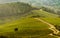 Tuscany generic hillside panorama view