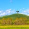 Tuscany, Green fields and lonely pine tree landscape, Siena, Italy.