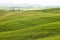 Tuscany - green typical landscape