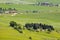 Tuscany - green typical landscape in spring time