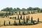 Tuscany hills panorama summer view, Italian landscape