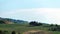 Tuscany hills. Spring Vineyard