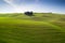 Tuscany hills after sunrise - beautiful curves