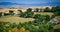 Tuscany, Italy scenic landscape- with haybales and cypress lined driveway