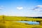 Tuscany, lake, tree and green fields, rural landscape on sunset, Italy.