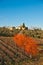 Tuscany landscape