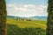 Tuscany landscape, cypress trees and Vitaleta chapel on back, va