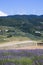 Tuscany landscape the flowering period , windmills