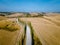 Tuscany landscape with grain fields, cypress trees and houses on the hills at sunset. Summer rural landscape with curved