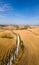 Tuscany landscape with grain fields, cypress trees and houses on the hills at sunset. Summer rural landscape with curved