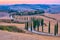 Tuscany landscape with grain fields, cypress trees and houses on the hills at sunset. Summer rural landscape with curved