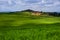 Tuscany landscape with green rolling hills in spring time ,agriculture crop  and farming house