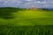 Tuscany landscape with green rolling hills in spring time ,agriculture crop  and farming house