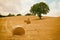 Tuscany landscape with hay bales, hills and meadow, Italy.