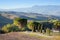 Tuscany landscape in the morning. Tuscan farms, hills, cypress trees