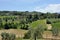 Tuscany landscape olive tree and hills 1