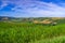 Tuscany - Landscape panorama at sunrise of Val d'Orcia