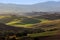 Tuscany landscape at sunrise. Tuscan farm house, vineyard, green hills.