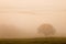 Tuscany landscape at sunrise. Typical for the region tuscan farmhouse, hills, vineyard. Italy Fresh Green tuscany landscape.