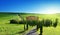 Tuscany landscape with typical farm house