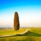 Tuscany, lonely cypress tree and rural road. Italy