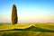 Tuscany, lonely cypress tree and rural road. Italy