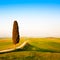 Tuscany, lonely cypress tree and rural road. Siena, Orcia Valley