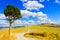 Tuscany, lonely tree and rural road. Siena, Orcia Valley, Italy.