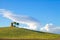 Tuscany, Maremma landscape. Rural tower, green field and trees.