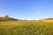 Tuscany, Maremma landscape.Tower, field and trees.