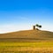 Tuscany, Maremma sunset landscape. Rural tower and tree on hill.