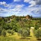 Tuscany, Montalcino medieval village, fortress and church. Siena, Val d Orcia, Italy