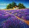 Tuscany Original oil painting warm old rural house farmhouse in the purple lavender field